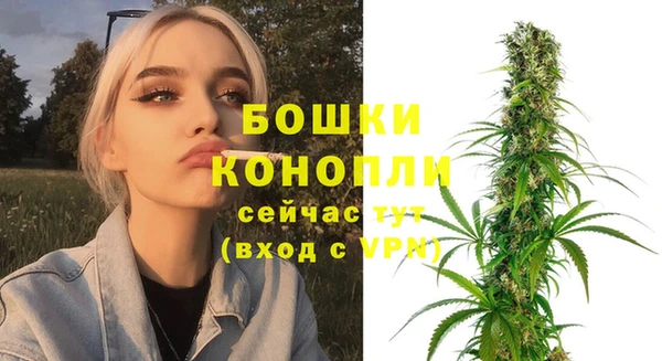 прущий лед Абаза