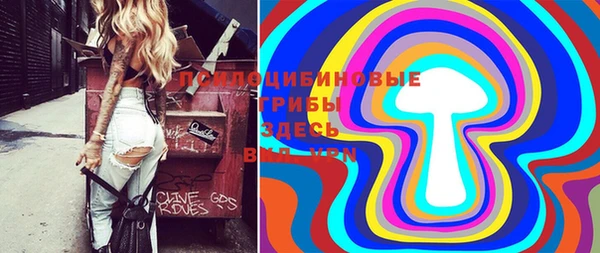 мдпв Абинск