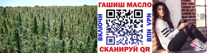 Дистиллят ТГК концентрат продажа наркотиков Северодвинск